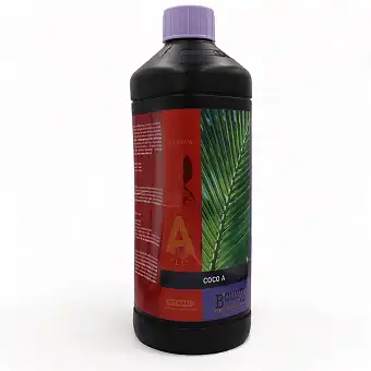 Atami B'cuzz Coco A&B –...