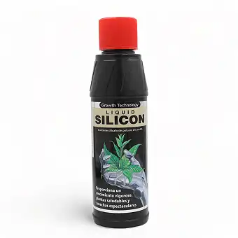 Tecnologia Growth...