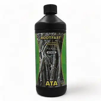 RootFast Atami – 100%...