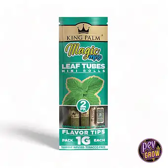 King Palm Mini –...