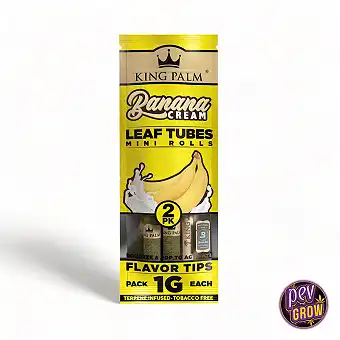 King Palm Mini – Cones...