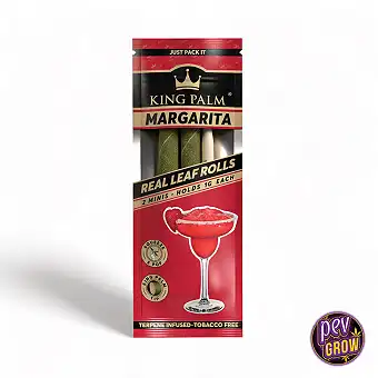 King Palm Mini –...