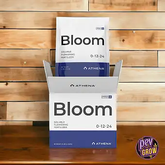 Athena Pro Line Bloom 11,36...