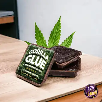 Gorilla Glue Cannabis Brownies