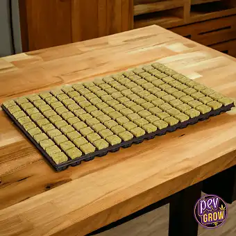 Taca Cutilene Rockwool – 77...