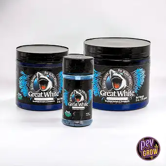 Great White Premium...