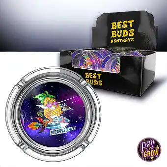Best Buds Large Glass Ashtrays