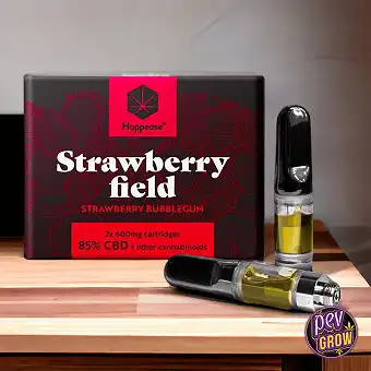 2 tk CBD vape padruni...