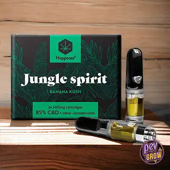 Paket 2 CBD vapeska kartuša...
