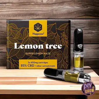 Pack 2 Cartucce Vape...