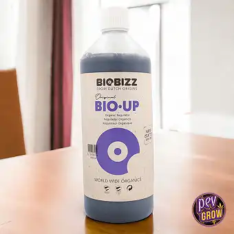 Biobizz PH Up