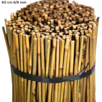 Buy Bamboo Plant Stakes 60 Cm 6/8 (50pcs)