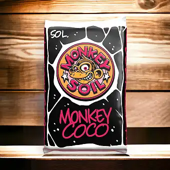 Monkey Coco di Monkey Soil