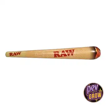 Raw Cono Inflable