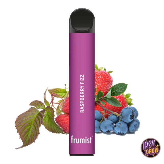 Buy Frumist Raspberry Fizz Disposable Vape at PEV