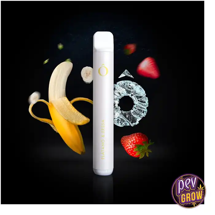 Buy Disposable Pod with Strawberry & Kiwi Baoly Nicotine at Pevgrow.
