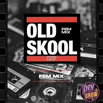 Old Skool Fem Mix...