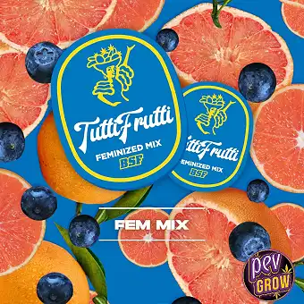 Mix Féminisées Tutti Frutti