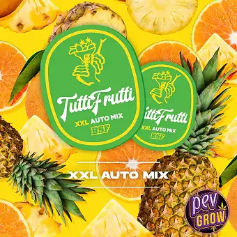 Tutti Frutti XXL Automix...