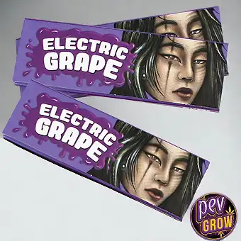 Paper d'Enrotllar Lion...