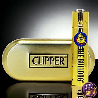 Clipper The Bulldog Gold...