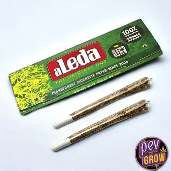 Aleda King Size Átlátszó...