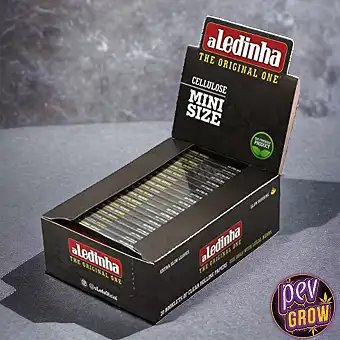 Aledinha liatzeko papera...