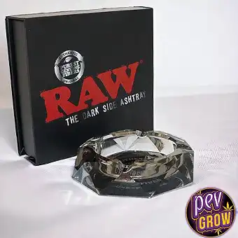 Raw Darkside stekleni...