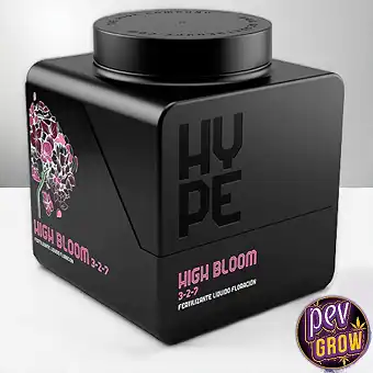High Bloom The Hype