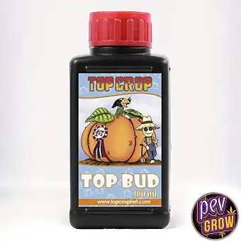 Top Bud