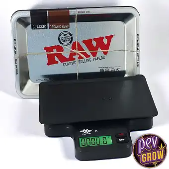 Raw Scale with tray 1000 - 1gr