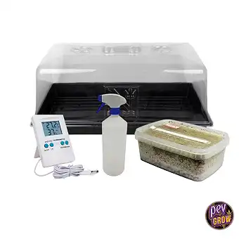 Dostupná pěstební sada na...