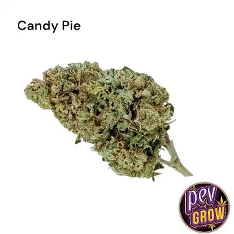 CBD Flowers Candy Pie