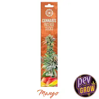 6 u. Cannabis Mango Natural...