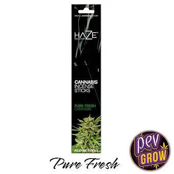 6 u. Cannabis Haze Pure...