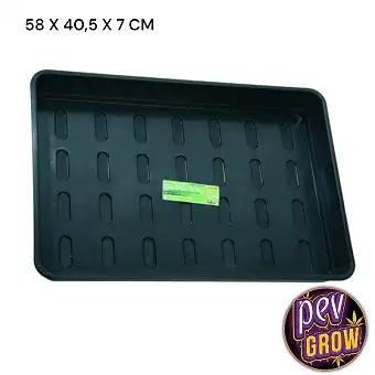 Tavă XL de Germinare...