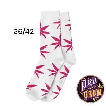 Marijuana leaf socks