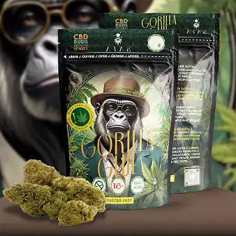 Cannabis Light Gorilla Glue