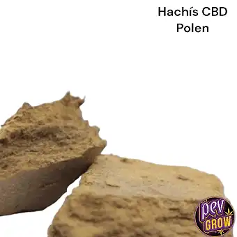 CBD-Haschisch Pollen