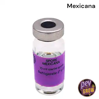 Vial de esporas Mexicana 10ml