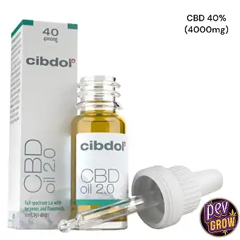 CBD Oil 40%- 10ml - Cibdol