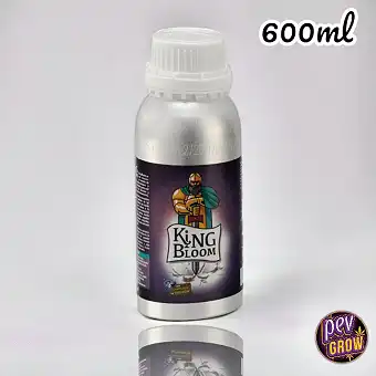 Trabe'nin King Bloom – Daha...