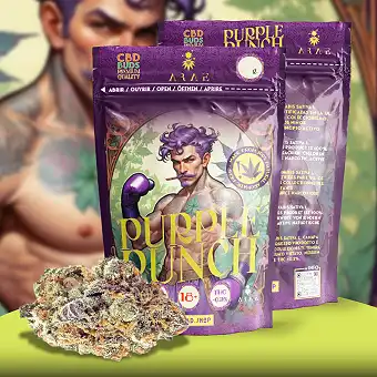 Cannabis Light Purple Punch