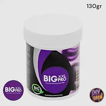 Big XXL Pro Big Nutrients –...