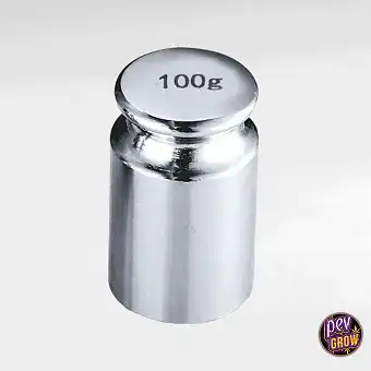 Βαρίδι 100g Βαθμονόμησης –...