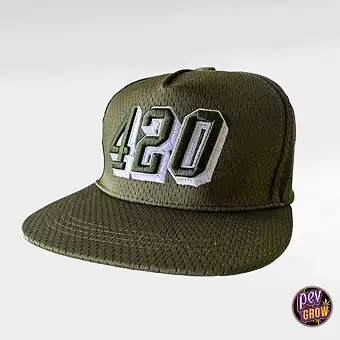 Green Embroidered 420 Cap