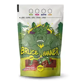 Σακούλα Bruce Banner για...