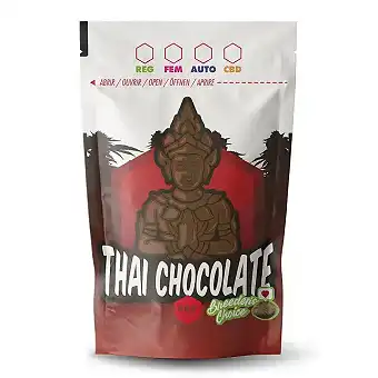 Chocolate Thai kanepikott 9...