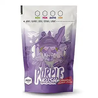 Purple Kush Marijuana Bag 9...