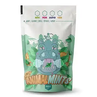 Animal Mints marihuānas...